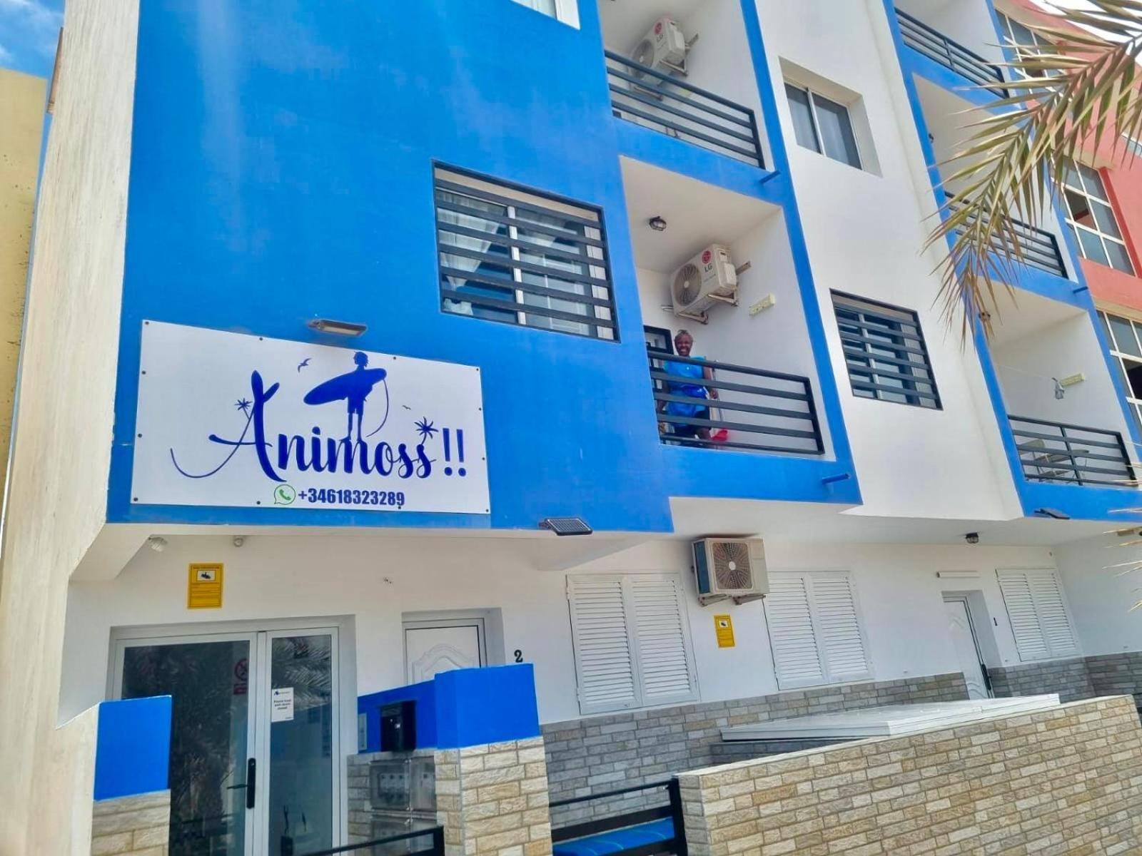 Animos! Apartments - 10 Modern Apartments Near The City & Beach, Perfect For Nomads, Travellers, Families, Watersports! Санта-Мария Экстерьер фото