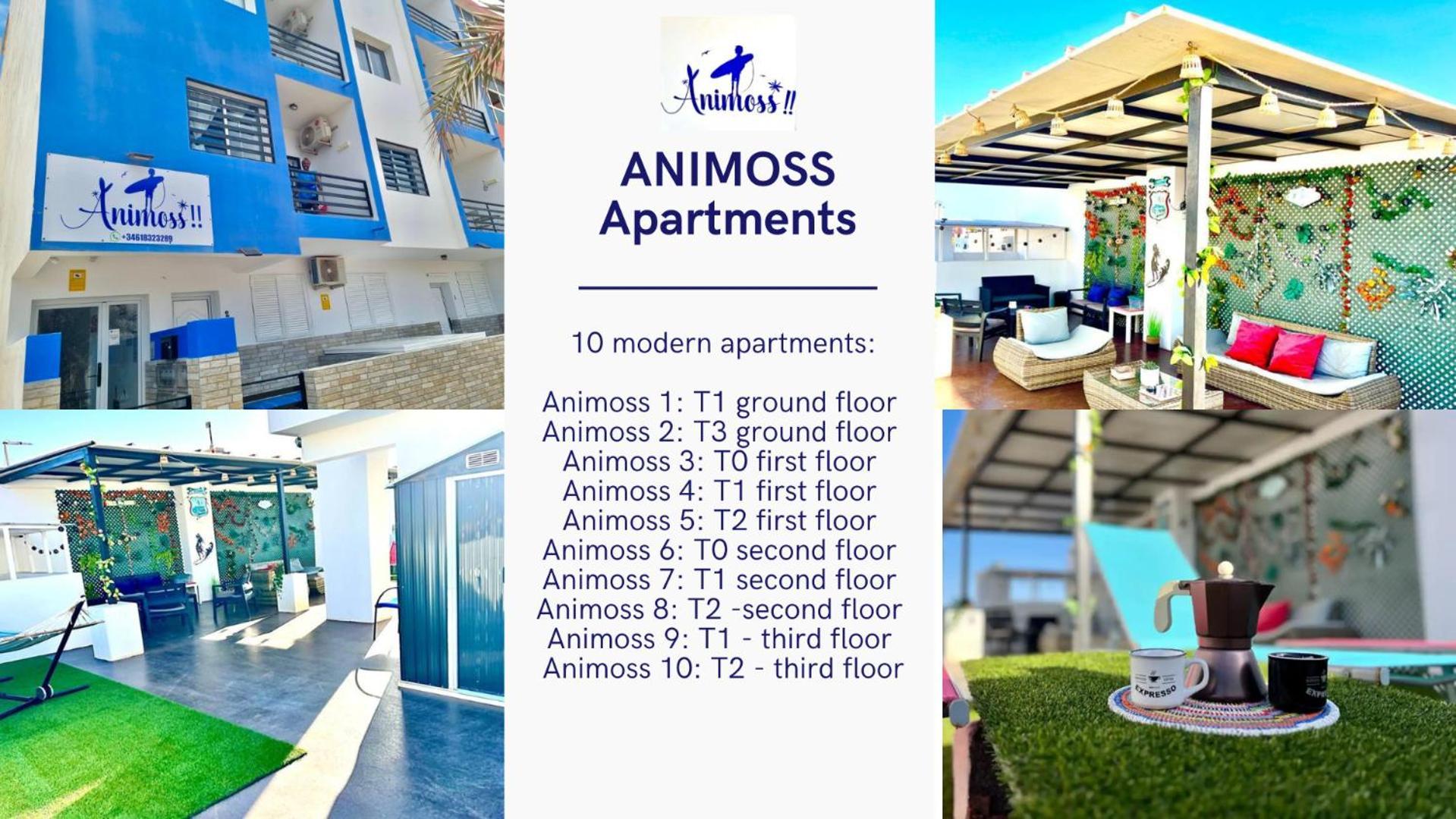 Animos! Apartments - 10 Modern Apartments Near The City & Beach, Perfect For Nomads, Travellers, Families, Watersports! Санта-Мария Экстерьер фото